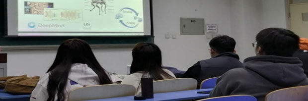 英國薩塞克斯大學(xué)2+2定向班