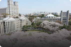 延世大學