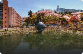 韓國中央大學